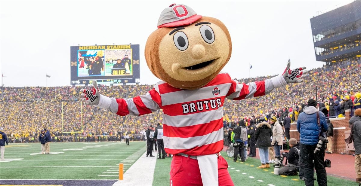 brutus buckeye